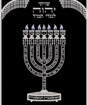 Luxury Materials Used in a Magnificent Torah Covering from Hichala (כיסוי תורה מפואר)