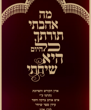 פרוכת מה אהבתי קליגרפיה