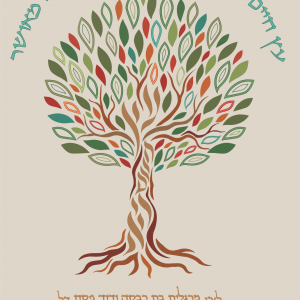 פרוכת עץ חיים