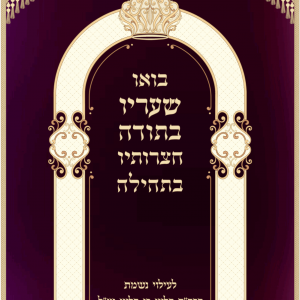 פרוכת שער קול תודה